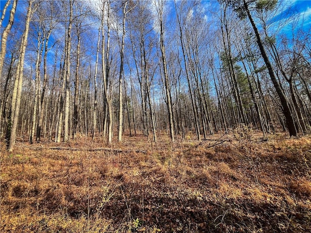 1188 Braybrook Rd, Chemung, NY 14825 - photo 20