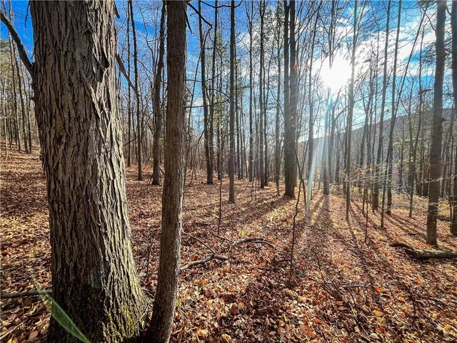 1188 Braybrook Rd, Chemung, NY 14825 - photo 21