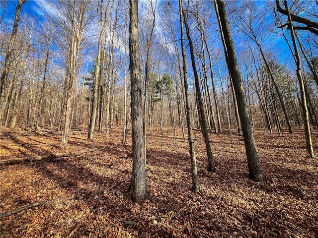 1188 Braybrook Rd, Chemung, NY 14825 - photo 22