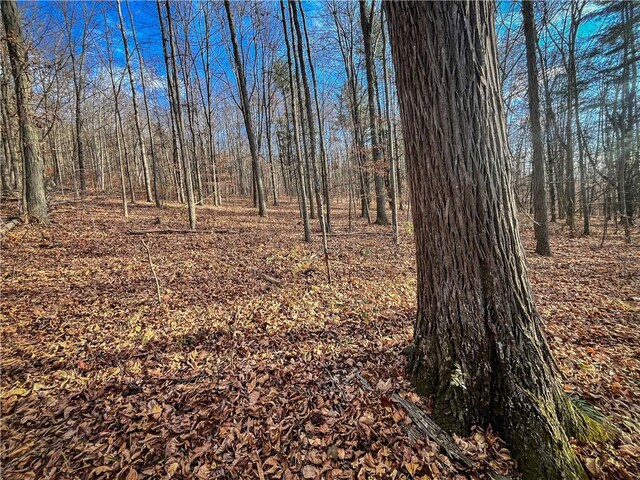 1188 Braybrook Rd, Chemung, NY 14825 - photo 23