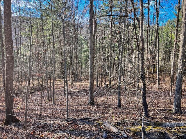 1188 Braybrook Rd, Chemung, NY 14825 - photo 24