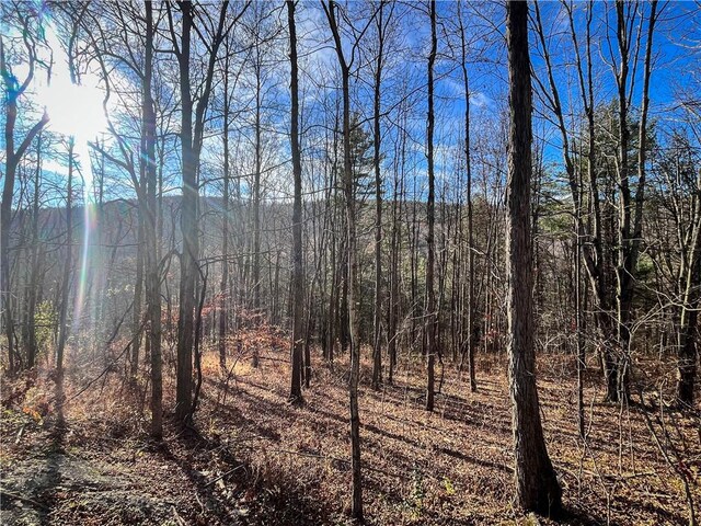 1188 Braybrook Rd, Chemung, NY 14825 - photo 25
