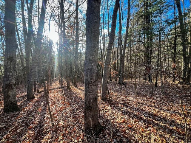 1188 Braybrook Rd, Chemung, NY 14825 - photo 26