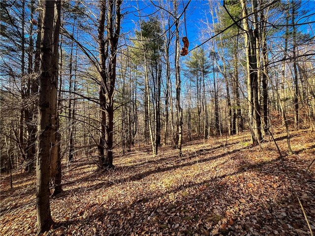 1188 Braybrook Rd, Chemung, NY 14825 - photo 28