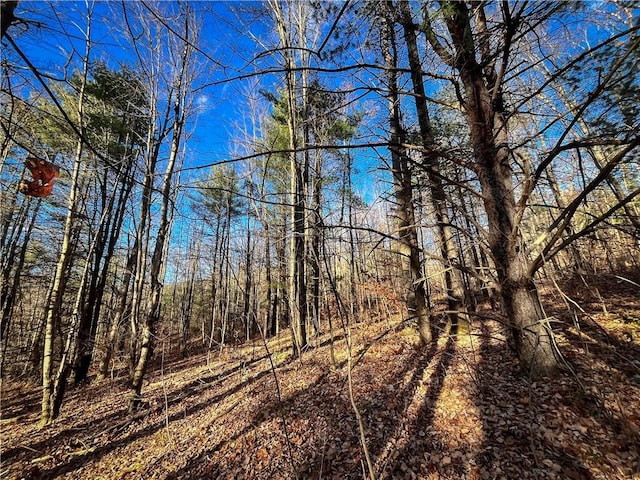 1188 Braybrook Rd, Chemung, NY 14825 - photo 29