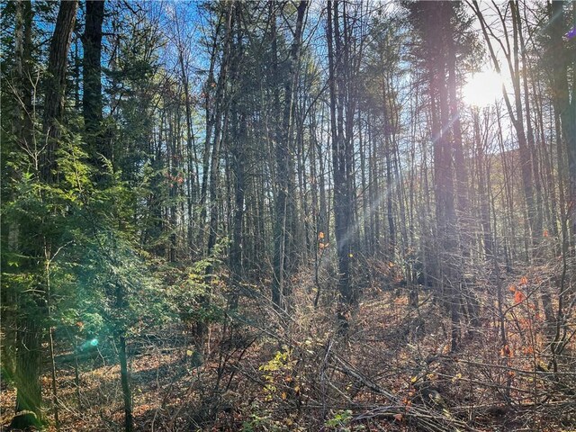1188 Braybrook Rd, Chemung, NY 14825 - photo 30