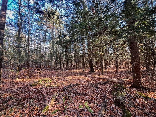 1188 Braybrook Rd, Chemung, NY 14825 - photo 37