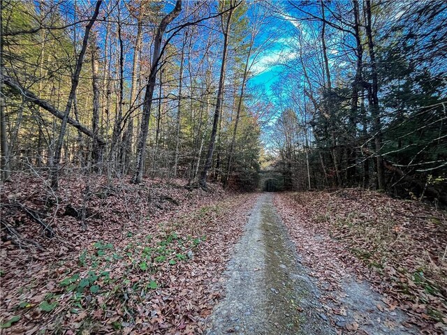1188 Braybrook Rd, Chemung, NY 14825 - photo 38