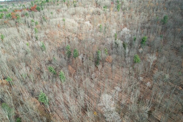 1188 Braybrook Rd, Chemung, NY 14825 - photo 40