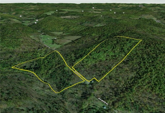 1188 Braybrook Rd, Chemung, NY 14825 - photo 41
