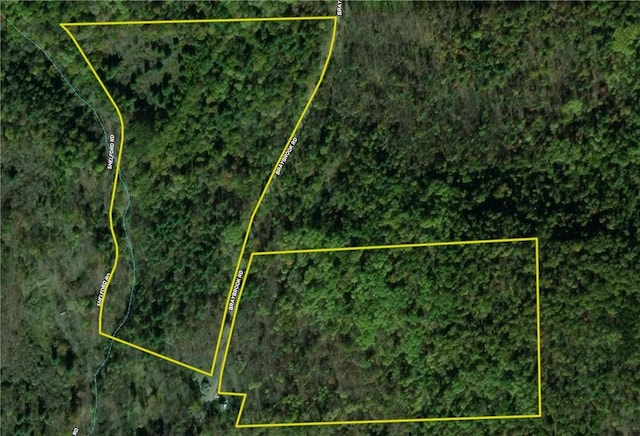 1188 Braybrook Rd, Chemung, NY 14825 - photo 43