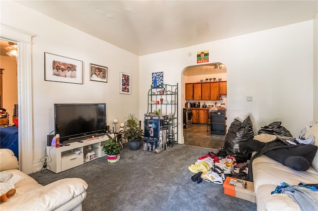 living room featuring dark colored carpet