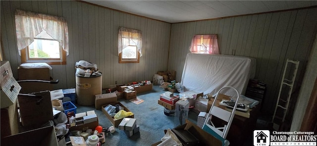 135 N 12th St, Olean, NY 14760 - miscellaneous room featuring plenty of natural light, carpet flooring, and wooden walls