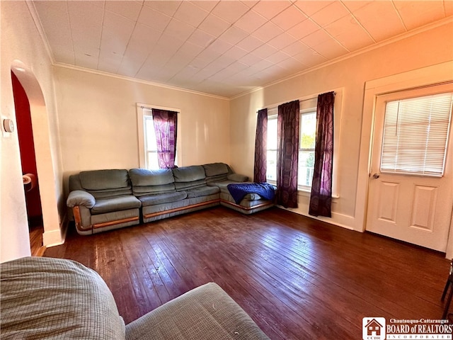 living room with dark hardwood / wood-style floors and crown molding