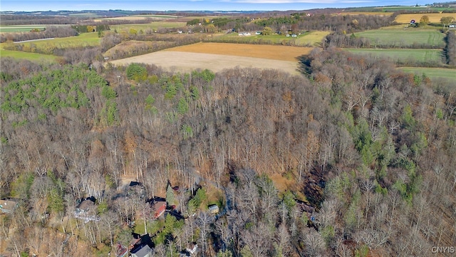 drone / aerial view with a rural view