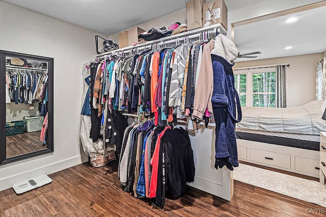 walk in closet featuring dark wood-type flooring