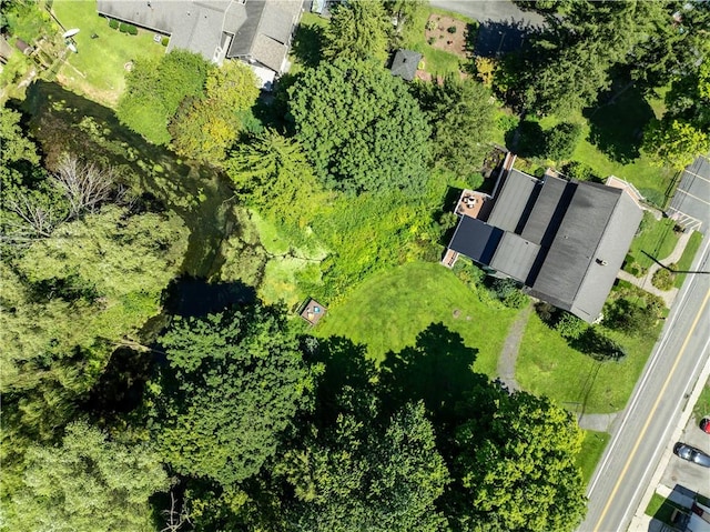 948 George St, Wheatland, NY 14511 - bird's eye view