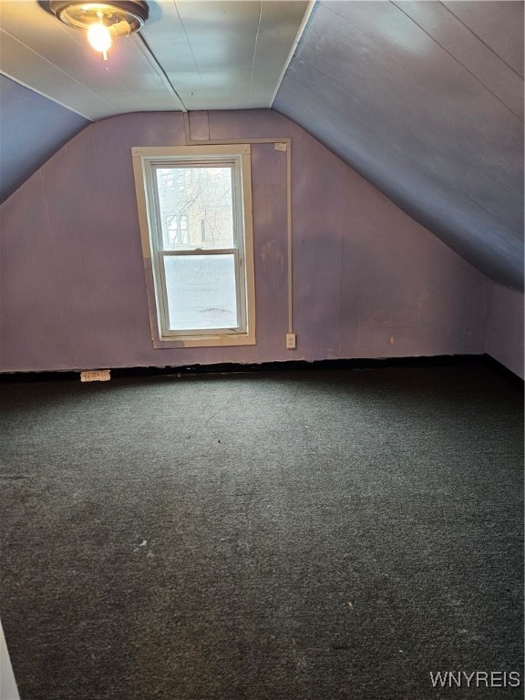 additional living space featuring vaulted ceiling and carpet