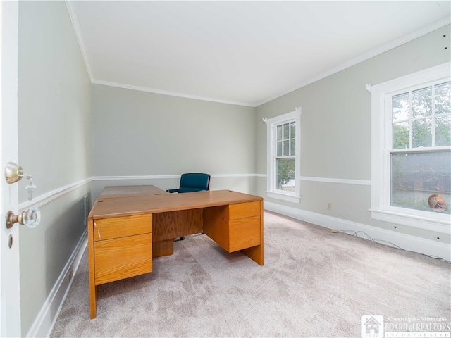 office area featuring light colored carpet and crown molding