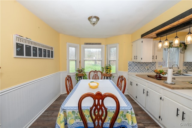 dining space with dark hardwood / wood-style flooring and sink