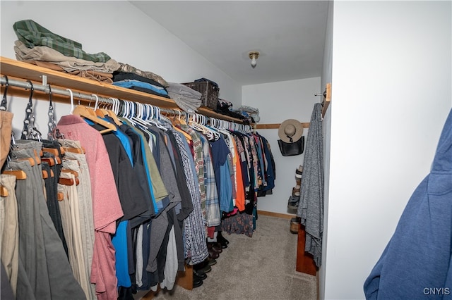 walk in closet with carpet flooring