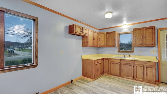 kitchen with ornamental molding, sink, a healthy amount of sunlight, and a textured ceiling