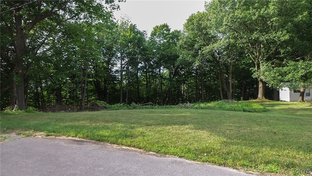 00 Nob Rd, Utica NY, 13501 land for sale