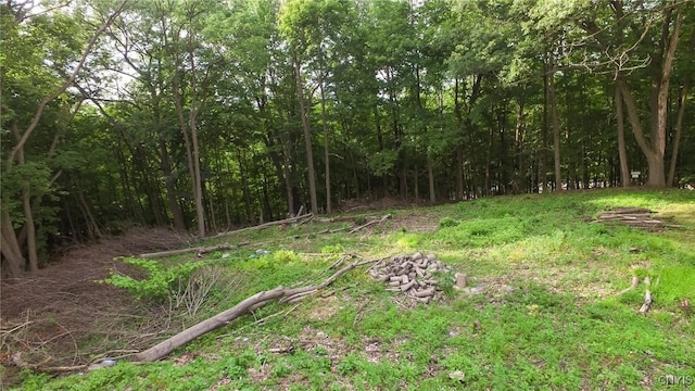 00 Nob Rd, Utica, NY 13501