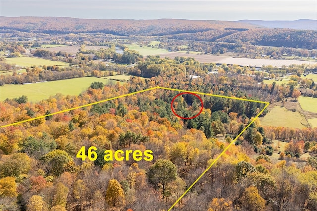 birds eye view of property featuring a rural view