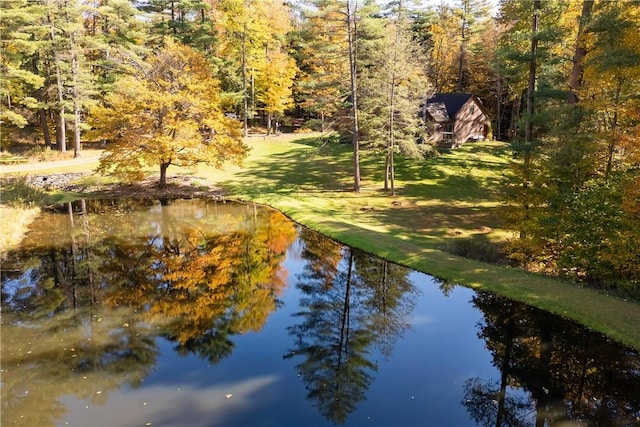 171 Oak Tree Ln, Bainbridge, NY 13733 - property view of water featuring a view of trees
