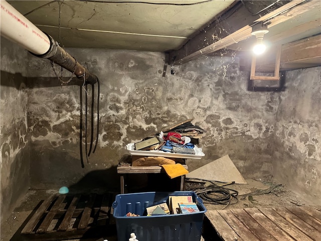 basement featuring hardwood / wood-style floors