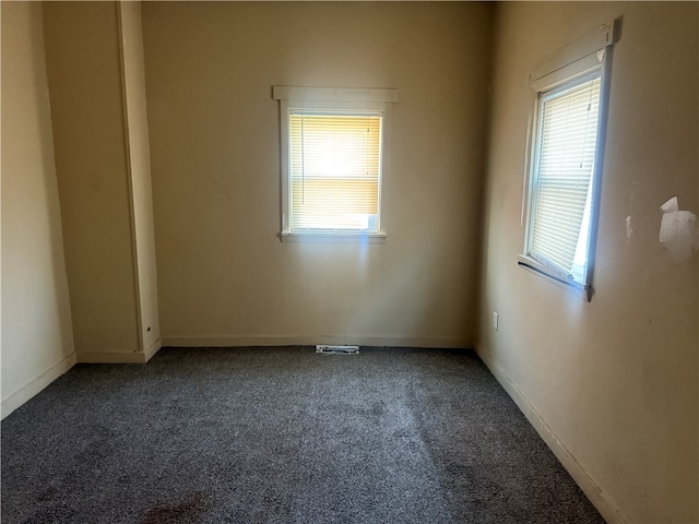 spare room with carpet