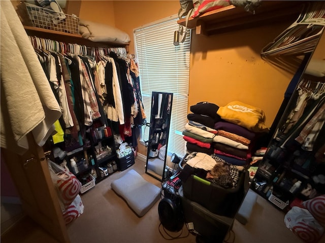 view of spacious closet