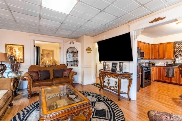 living room with light hardwood / wood-style floors