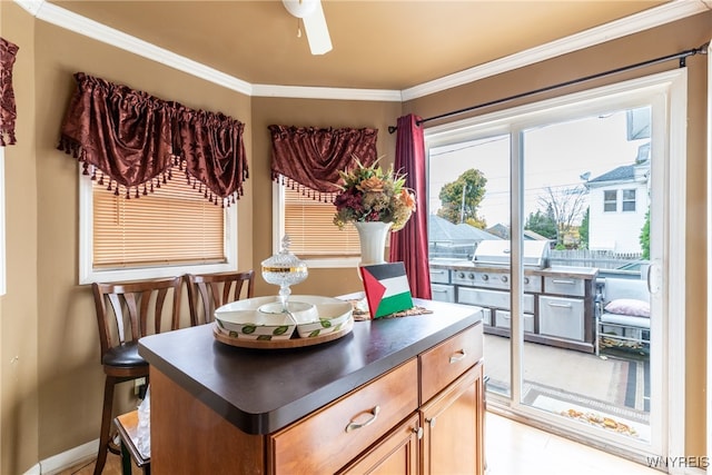 dining space with ceiling fan and ornamental molding