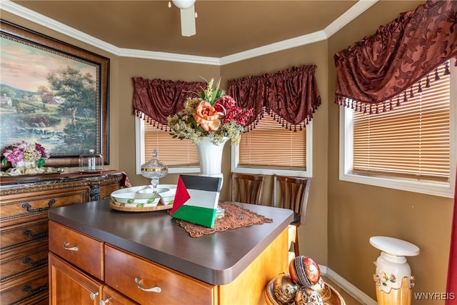 interior space with ceiling fan and ornamental molding