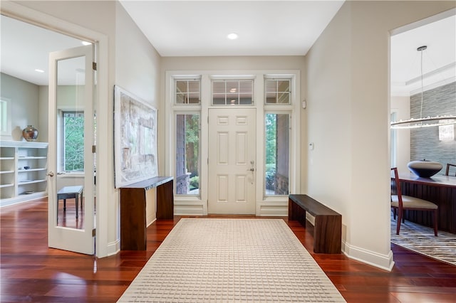 foyer featuring dark hardwood / wood-style flooring and a wealth of natural light