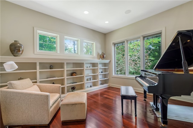 living area with dark hardwood / wood-style flooring