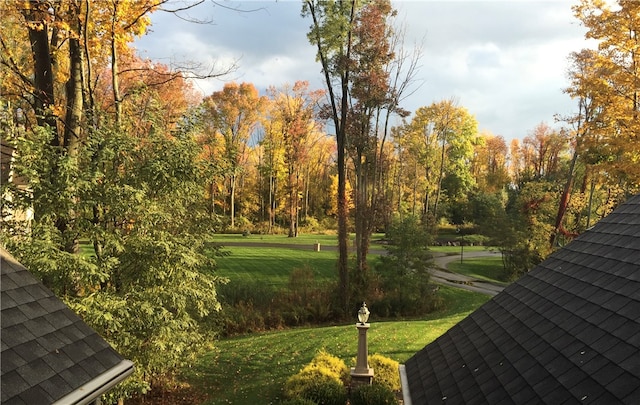 view of property's community featuring a yard