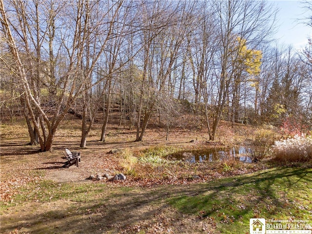 view of yard with a water view