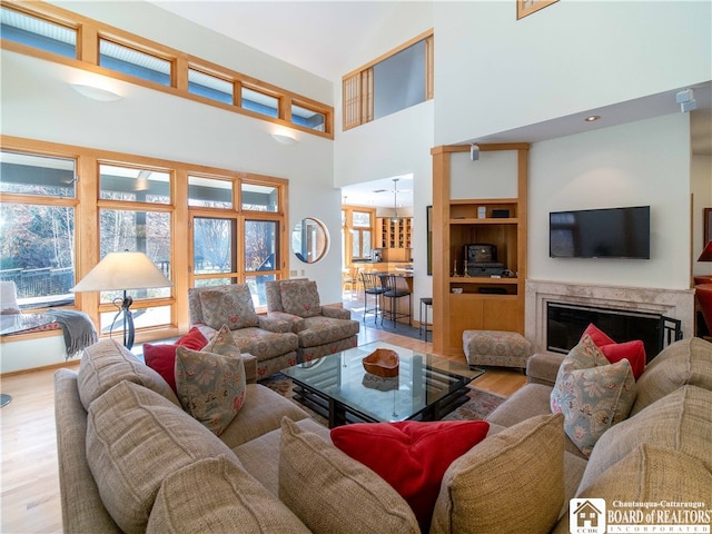 living room featuring a high ceiling and wood-type flooring