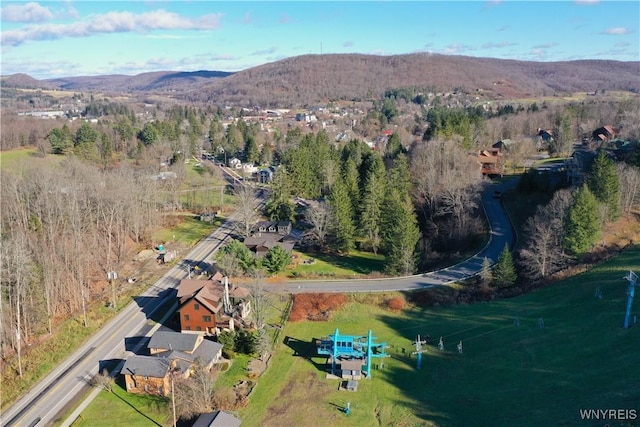 birds eye view of property with a mountain view