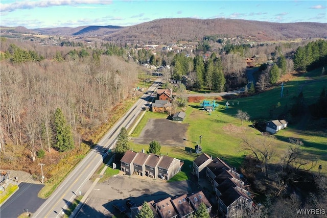 drone / aerial view with a mountain view