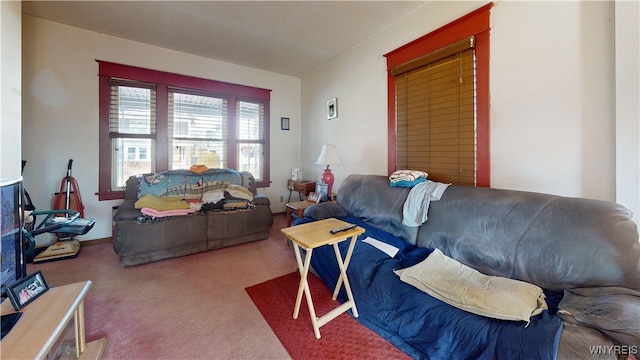 living room featuring carpet floors