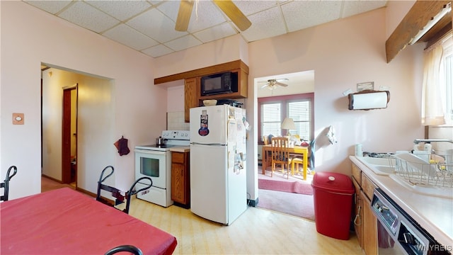 kitchen featuring light hardwood / wood-style flooring, a paneled ceiling, ceiling fan, and white appliances