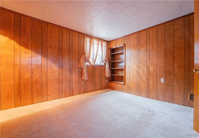 spare room with wooden walls and carpet floors