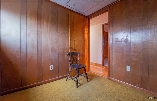 interior space with carpet and wood walls