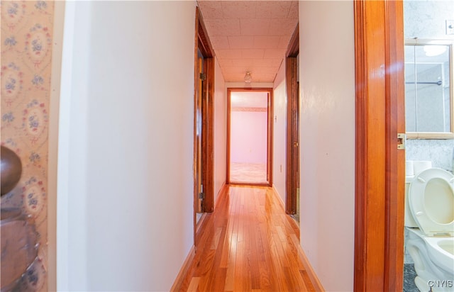 hall featuring light hardwood / wood-style floors