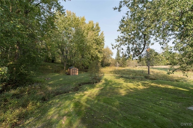 view of yard with a storage unit