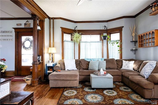 living room featuring a textured ceiling, hardwood / wood-style flooring, a wealth of natural light, and crown molding